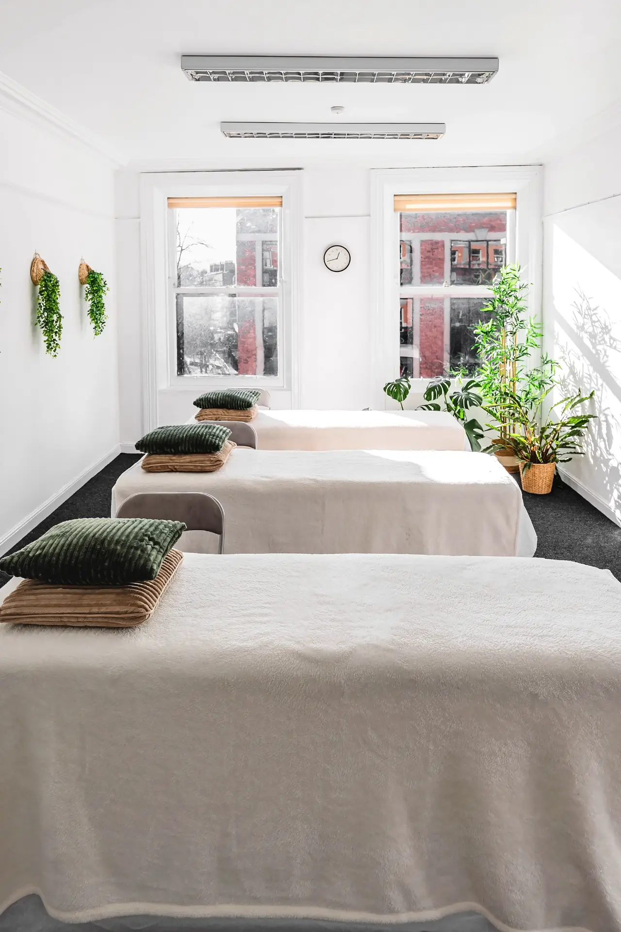 Three treatment couches with cushions beside bright windows in the Brigid Room