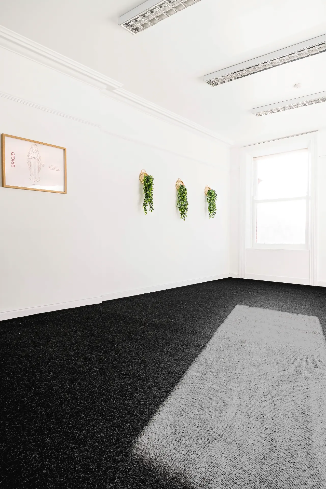 Brigid Room open floor with hanging plants and the Brigid print on the wall